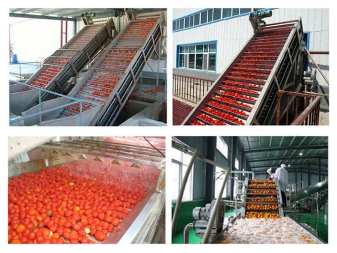 Sut i Gychwyn Busnes Prosesu Gludo Tomato?