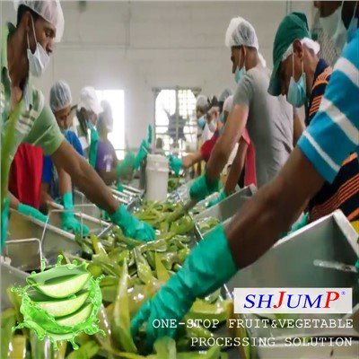 Llinell Prosesu Aloe Vera