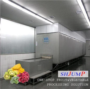 Llinell Prosesu Ffrwythau Wedi'i Rewi'n Gyflym