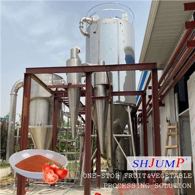 Llinell Prosesu Powdwr Tomato